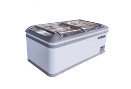 Tủ đông trưng bày cửa kính dạng lùa Berjaya BJY-IFGD-600L 1