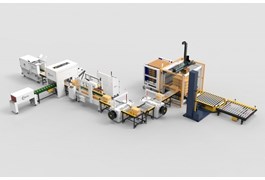 Dây chuyền dán thùng, đóng đai kết hợp quấn màng, xếp pallet tự đông hoàn toàn. 1