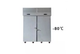 Tủ đông nhanh 40 khay thẳng đứng -80℃ Prosky SAGA 1250L  1