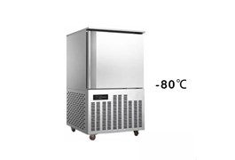 Tủ đông nhanh 7 khay -80℃ Prosky SAGA 260L 1