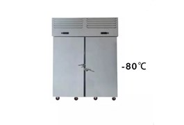 Tủ đông nhanh 30 khay thẳng đứng -80℃ Prosky SAGA 1250L 1