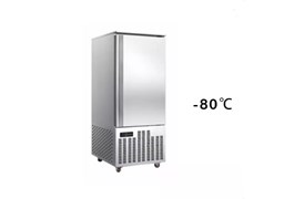 Tủ đông nhanh 16 khay -80℃ Prosky SAGA 600L 1