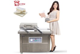 Máy hút chân không công nghiệp GoodFor DZQ400X2 1