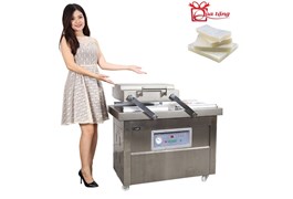 Máy hút chân không công nghiệp GoodFor DZQ500X2 1