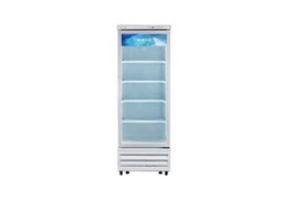 Tủ Đông Đứng 1 Cánh Kính CB-490FAR 1