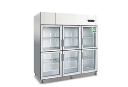 Tủ Mát 6 Cánh Kính Lớn Coolmes AS1.6G6 1