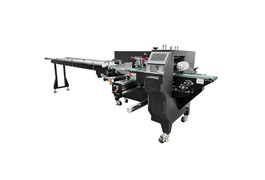 Máy đóng gói nằm SZ-350 1