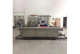 Máy đóng gói hút chân không nhiệt định hình DLZ-320 T 1