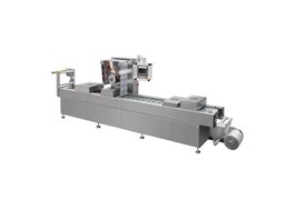 Máy đóng gói hút chân không nhiệt định hình khay thực phẩm DLZ-520 T 1