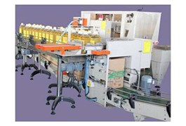 Máy đóng gói thả rơi ZX-530 1