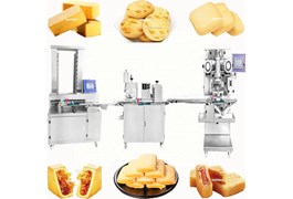 Dây chuyền sản xuất bánh có nhân tự động BNT 1