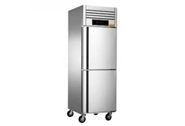 Tủ đông đứng 2 cánh 16 khay CHINENG CN-CPG-8014-0.5L2F-C16 1
