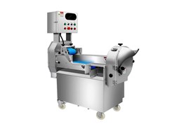 Máy cắt rau củ 2 đầu Engineering CHINENG CN-HZS-HC-901-220 1