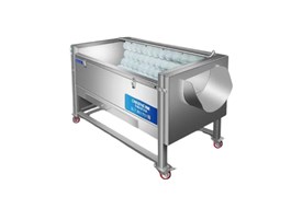 Máy làm sạch vỏ rau củ tự động CHINENG CN-HZS-HQ-1507 1