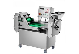 Máy cắt rau củ đa năng CHINENG CN-QCJ-8076-ST-B801 1