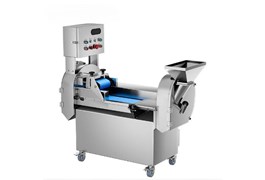 Máy cắt rau củ 2 đầu Luxury CHINENG CN-QCJ-8106-ST-J801 1