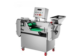 Máy cắt rau củ đa năng CHINENG CN-QCJ-FSX-8076-B801B 1