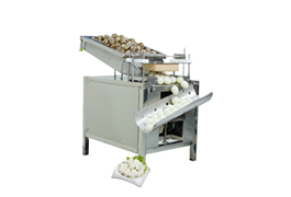 Máy lột vỏ trứng cút tự động OKASU MLVTC-300 1