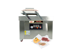 Máy hút chân không DZQ400-2SB Promax  1