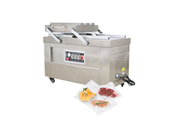 Máy hút chân không công nghiệp DZQ600-2SA  1