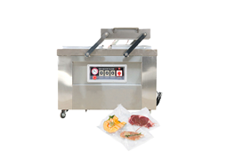 Máy hút chân không công nghiệp DZQ400-2SA   1