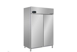 Tủ đông 2 cánh Berjaya BS 2DUF/Z   1