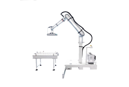 Robot xếp pallet tự động HPR-25   1