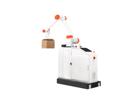 Robot xếp pallet tự động BRP20 1