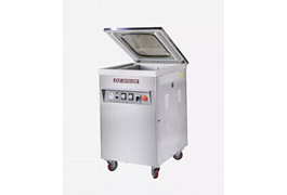 Máy hút chân không thực phẩm dạng buồng công nghiệp DZ-500/2E 1