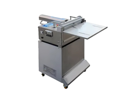 Máy hút chân không đứng DZQ-600 OT 1