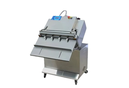 Máy đóng gói chân không hình khối DZQ-900 OT  1