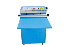 Máy hút chân không DZQ-600TE  1