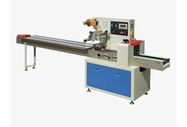 Máy đóng gói ngang tự động dạng gối DXDZ-250D 1