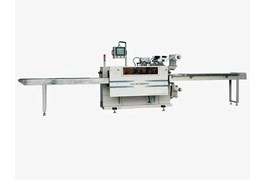 Máy đóng gói dạng vảy tự động DXPZ-300W 1