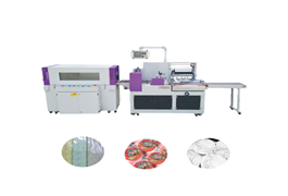 Máy hàn nhiệt tích hợp SW-X450  1
