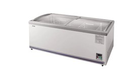 Tủ đông Chest Freezer Grand Woosung GCF-06P 2