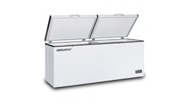 Tủ đông nằm Berjaya BJY-CFSD500A 2