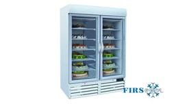 Tủ đông đứng 2 cánh kính Firscool G-SD930 2