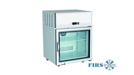 Tủ đông kem có mặt quầy thông gió Firscool G-F2V 2
