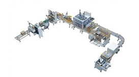 Dây chuyền gắp sản phẩm, dán và đóng đai thùng tự động 2