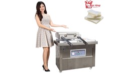 Máy hút chân không công nghiệp GoodFor DZQ500X2 2