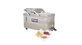 Máy hút chân không công nghiệp DZQ600-2SA  2