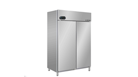 Tủ đông 2 cánh Berjaya BS 2DUF/Z   2