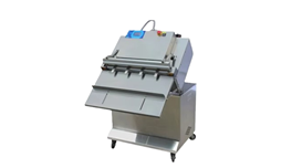Máy đóng gói chân không hình khối DZQ-900 OT  2