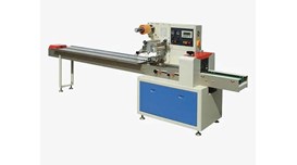 Máy đóng gói ngang tự động dạng gối DXDZ-250D 2