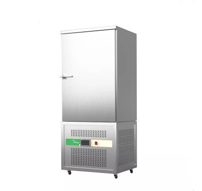 Tủ cấp đông nhanh Prosky SAGA 220L