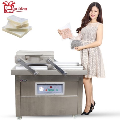 Máy hút chân không công nghiệp GoodFor DZQ400X2