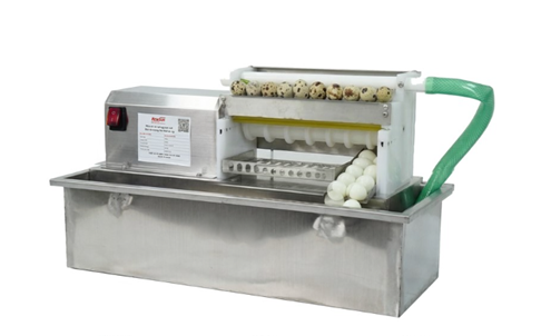Máy lột vỏ trứng cút bán tự động OKASU MLVTC-50