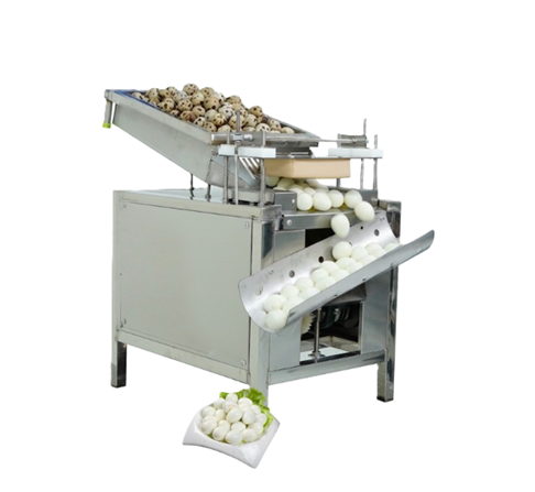Máy lột vỏ trứng cút tự động OKASU MLVTC-300
