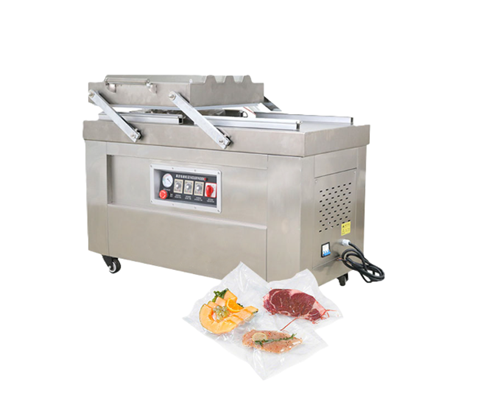 Máy hút chân không công nghiệp DZQ600-2SA 
